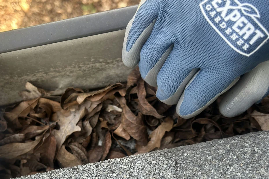 Gutter Cleaning Adamsville