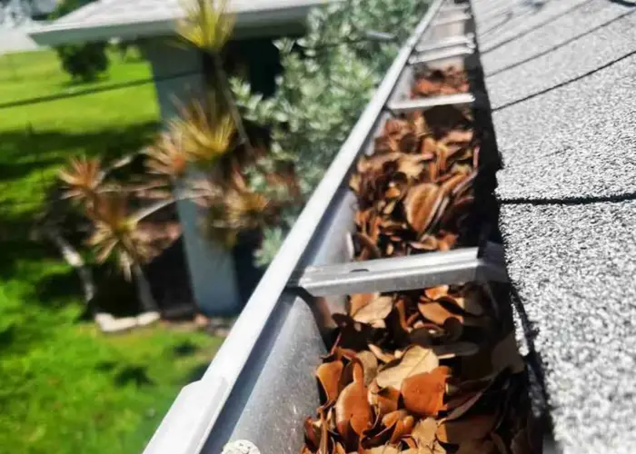 Gutter Cleaning Adamsville home page